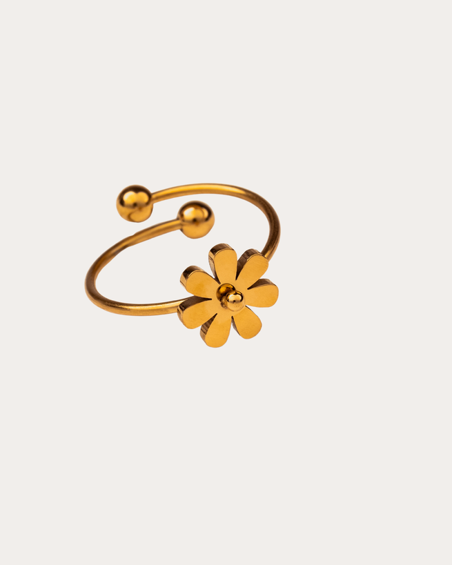 Bague Citlali