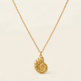 Collier Ashley - Madi Babe